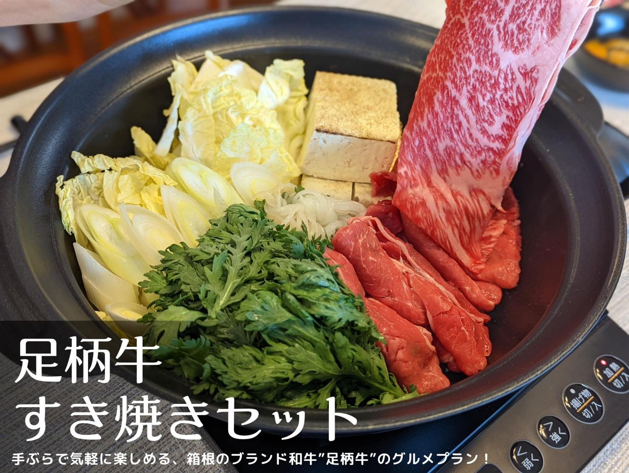 和光荘 Harmonious Light West Villa Hakone Dış mekan fotoğraf